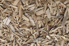 biomass boilers Oakridge